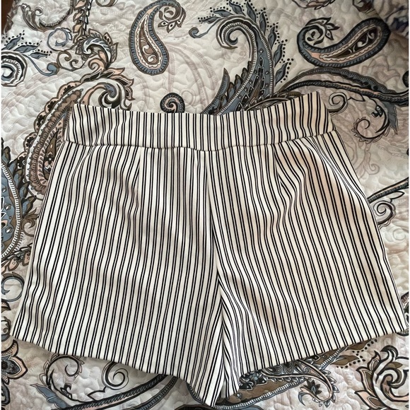 Pretty pin stripe shorts NWT Size M - Picture 2 of 7
